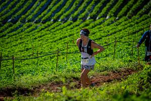 BIB: 1124
                            <button type="button" onclick="openModal(19161267)" class="btn btn-primary btn-sm float-right btn-popup" data-toggle="modal" data-target=".modal-high-quality">
                        <i class="fas fa-shopping-cart"></i> Add to Cart
                    </button>
                                            <button type="button" onclick="isThisMe(19161267, true)" class="btn btn-success btn-sm float-right btn-popup btn-isme hidden" data-toggle="tooltip" data-placement="bottom" title="นี่คือรูปของคุณใช่ไหม คลิกที่นี่เพื่อเอาเข้าอัลบั้ม">
                        <i class="fas fa-plus"></i> Add to album
                    </button>
                    <button type="button" onclick="isThisMe(19161267, false)" class="btn btn-warning btn-sm float-right btn-popup btn-isnotme hidden">
                        <i class="fas fa-ban"></i> Remove from album
                    </button>